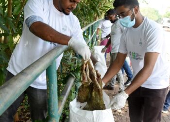 Young Architects’ Festival in Kozhikode from October 27