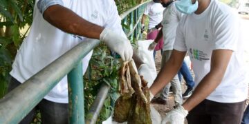 Young Architects’ Festival in Kozhikode from October 27