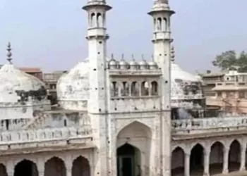 ‘Kailash Type Of Architecture Found On The Dome’ Says Hindu Side Lawyer On ASI Survey