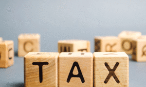 Updated Itr: Deadline to File Updated Returns for Fy21 is March 31. Check How to File