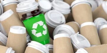 Navigating the Bioplastics Packaging Market: Trends, Projections, and Insights