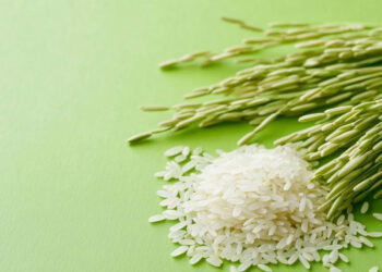 Rice Bran Wax: A Sustainable And Superior Alternative To Montan Wax