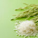 Rice Bran Wax: A Sustainable And Superior Alternative To Montan Wax